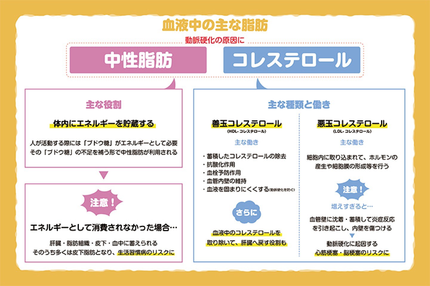 食用油: 健康上の利点、発煙点、および最適な用途