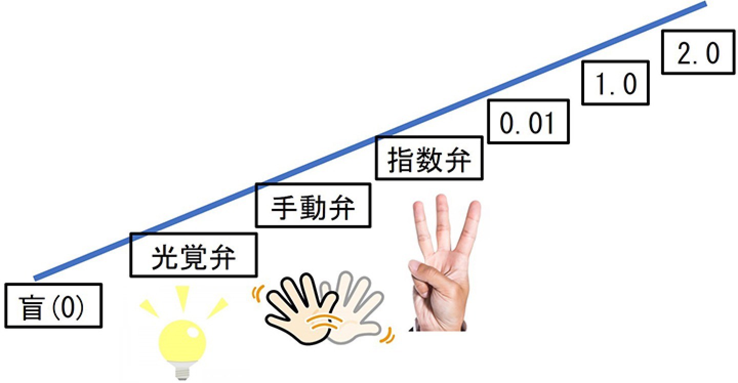 視力のグラフ画像