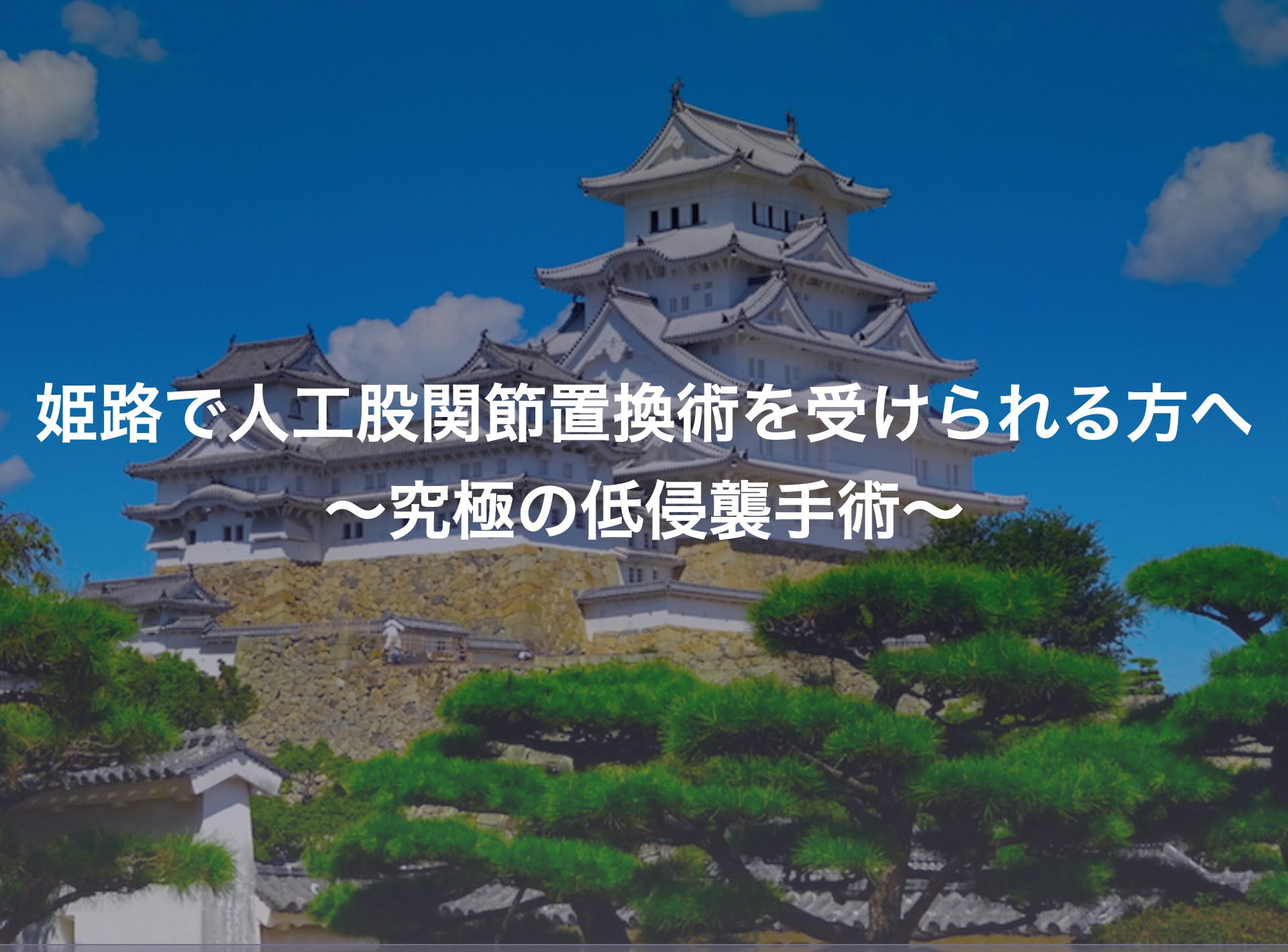 姫路で人工股関節置換術を受けられる方へ～究極の低侵襲手術～