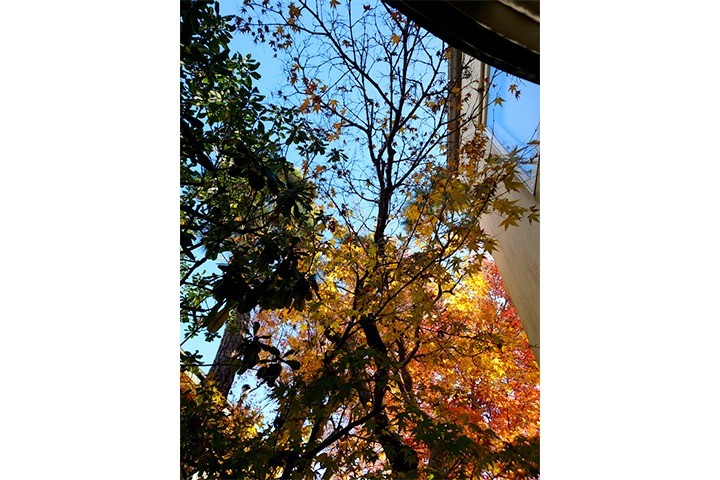 今年もありがとうございました