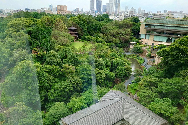 ちょっと涼しさをお裾分けします