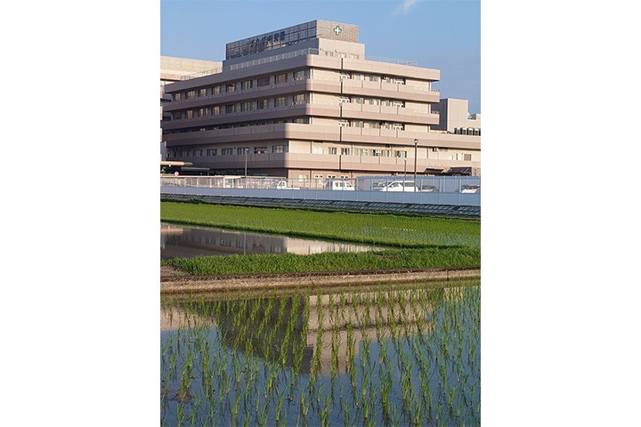 緊急カテ明けの朝