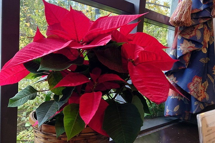 秋と冬の境目？