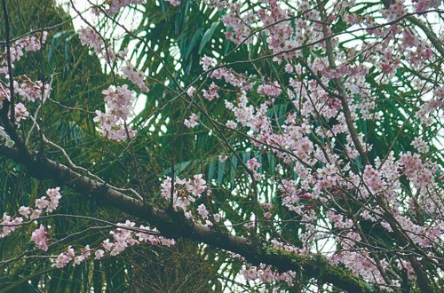 今日、嬉しいことがありました